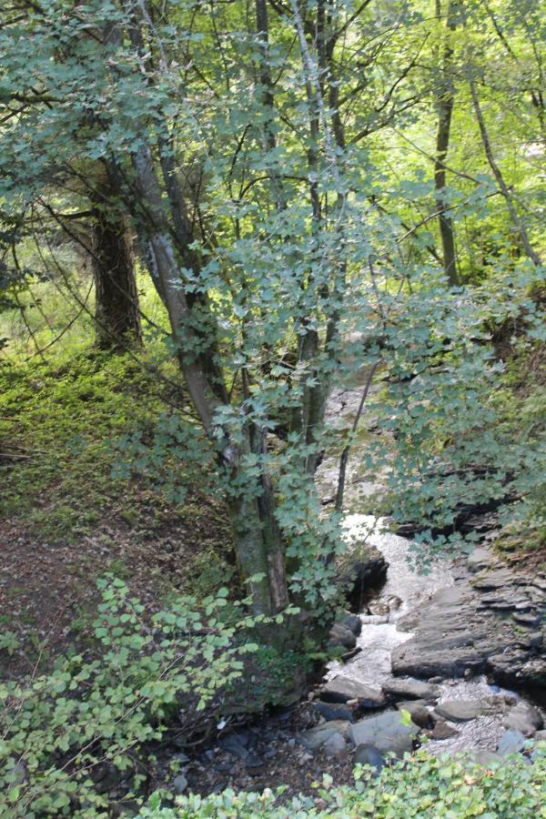 Holiday home Rivendell 9