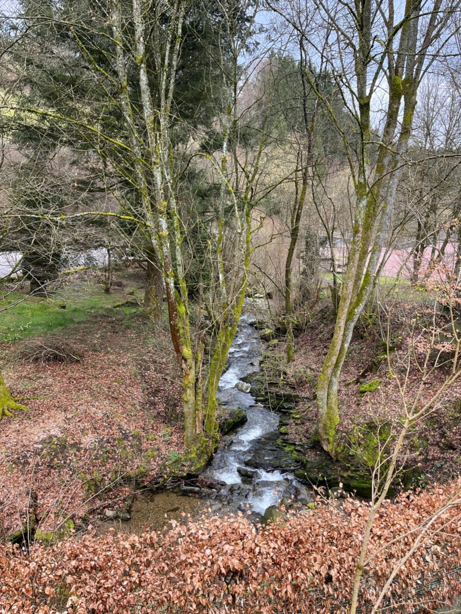 Rivendell 9 *